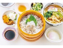 【愛知県田原市】渥美半島の恵みをどんぶりで堪能！スタンプラリーで楽しむ食べ歩き