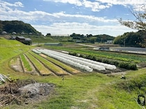 大和大学社会学部のSDG研究推進室に対し、クラダシが研究活動を支援！テーマは「コメ」