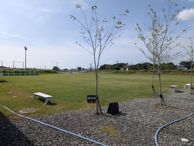 COSMOS CAFE(コスモスカフェ)