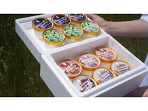 山形の魅力が詰まった濃厚なご当地ジェラートが三越伊勢丹オンラインで全国販売開始