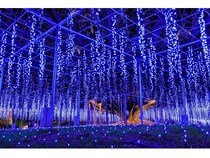 【栃木県足利市】「あしかがフラワーパーク」、光と香りに包まれるイルミネーションイベントを開催