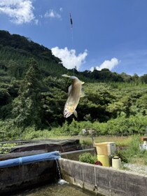 山口県山口市でおすすめ！「鮎の里　鳳翩屋（ほうべんや）」