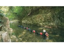 【広島県広島市】観光体験が森を守る力に。「シャワークライミング×森の再生プロジェクト」本格始動