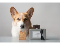 テッテ コーヒーアンドベイクが届ける「米粉のハロウィンクッキー缶」が今年も登場