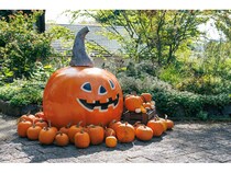 【山梨県北杜市】ナチュラルガーデンズMOEGIで「萌木の村ハロウィンマンス2025～魔女とカボチャのガーデンパーティー」開催