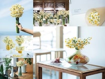 【福井県福井市】越前海岸の地域の景観と人の営みを未来へとつなぐ、ノカテの取り組みに注目！