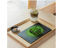 【福井県勝山市】日本遺産「福井・勝山石がたり」とのコラボした新感覚スイーツ「苔石ティラミス」誕生