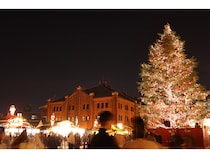 【神奈川県横浜市】40を超える光のイベントをつなぐ「THE YOKOHAMA ILLUMINATION」キャンペーン開催！