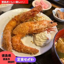 【徳島県徳島市】お魚定食を食べよう！　一平鮮魚店定食せがわ