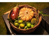 【愛知県美浜町】農と食をつなぐ体験型ダイニングイベント「Farm to Table in Chita」の第2弾が開催