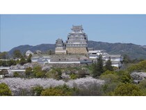 【兵庫県姫路市】「姫路観光コンシェルジュガイド育成研修」の参加者募集中！英語のガイド育成に注力