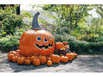 【山梨県北杜市】ナチュラルガーデンズMOEGIで「萌木の村ハロウィンマンス2025～魔女とカボチャのガーデンパーティー」開催