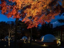 【栃木県】日光市のグランピングリゾートに、秋の紅葉とハロウィンが楽しめる特別プランが登場！