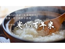 【三重県いなべ市】2025年産「実りの百年米」の新米をKIMOTOファームが販売開始