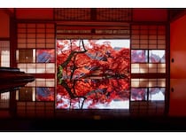 【京都府長岡京市】上書院の特別公開やライトアップも実施！柳谷観音楊谷寺紅葉ウィーク2025開催