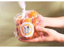 “きんかんの日”を提唱！勤労感謝の日にビタミン豊富な金柑を贈るハナウタカジツの挑戦