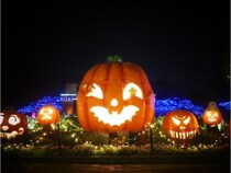 【埼玉県滑川町】国営武蔵丘陵森林公園、「森のハロウィンナイト」で夜間営業を開始。イベント盛り沢山！