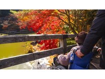 介護タクシー配車×介護に特化した旅行企画！要介護者の“旅行の不安”をゼロに