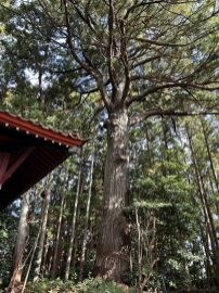 三島神社