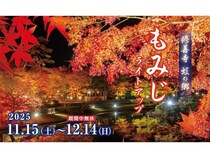 【静岡県伊豆市】打ち上げ花火も！修善寺虹の郷で幻想的な秋の夜を楽しめる紅葉ライトアップを開催