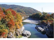 【埼玉県長瀞町】「長瀞紅葉まつり2025」で紅葉とライトアップを満喫！県民の日イベントも開催