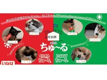 愛犬・愛猫の“ちゅ～るを食べる姿”を全国へ！ファミマ店内番組とのコラボで動画募集中