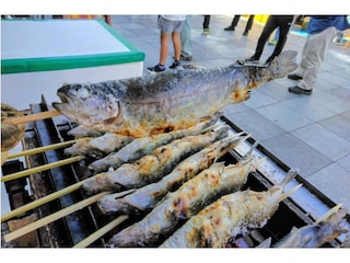 【神奈川県横浜市】食べて学んで、楽しく“さかな”を知る「さかな文化祭」開催！