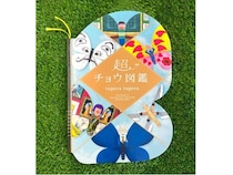 チョウの形をした超ユニークな絵本『超チョウ図鑑』発売中！84種類が登場