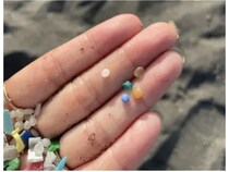 【神奈川県茅ヶ崎市】ビーチクリーンや環境ドキュメンタリー映画鑑賞で“マイクロプラスチック問題”を身近に