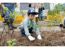 【岡山県鏡野町】弁当＆お土産付きで参加無料の「第9回 山田養蜂場 宮脇式植樹祭」開催！宝探し企画も