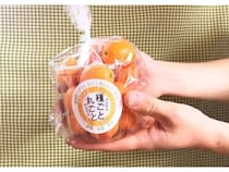 “きんかんの日”を提唱！勤労感謝の日にビタミン豊富な金柑を贈るハナウタカジツの挑戦