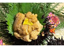 【香川県】うどんの製造過程で出る廃材を活用し育てた「讃岐うどん雲丹」を遊食房屋丸亀店で提供