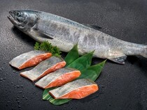 【北海道札幌市】札幌駅チカホで「第3回 鮭漁師祭り」開催！鮭いくら丼100食無料提供