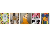 【神奈川県横浜市】オーガニックカフェ『7artscafe』にて女性5人による子供支援チャリティー個展開催