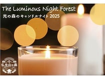 【香川県高松市】仏生山の森で冬の夜を幻想的に彩る「光の森のキャンドルナイト2025」開催