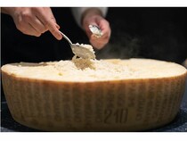 【東京都中央区】復興支援を機に誕生した祝祭「パルミジャーノ・レッジャーノ・デー」東京で開催