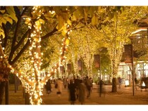 【東京都立川市】点灯式に「ロージークロニクル」が登場！「2025たちかわイルミネーション」開催