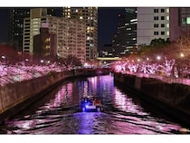 「目黒川みんなのイルミネーション」を次世代へつなぐためのクラファン実施中！