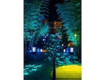 【山口県長門市】星モチーフの光で彩る！⾨湯本温泉でXmasシーズン限定の「うたあかりノエル」開催