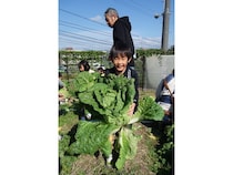 【島根県松江市】島根県立大学短期大学部がキャンパス内の「こっそり畑」で親子体験イベントを開催