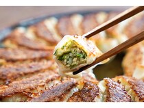 【千葉県】銚子発「アフロきゃべつ餃子」が「FOOD SHIFTセレクション」入賞！関連イベントも開催