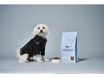 宮城県気仙沼のサメを活用したペットフードとペット用サメ革ジャケット新発売