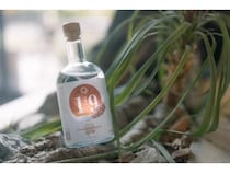 甲州ぶどうを使った「山梨県ジン」誕生。ご当地クラフトジン第15弾は山梨県！