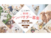 ドッグフードブランド・コノコトトモニが第5期公式アンバサダーをInstagramで募集中