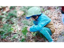 【神奈川県相模原市】五感で秋の自然の魅力を味わう「さがみ湖MORI MORI 秋の生き物探検ツアー」開催