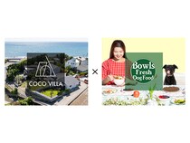 【千葉県南房総市】COCO VILLAで食と滞在両面から“犬の生活リズム”を整える「朝専用フード」無料提供