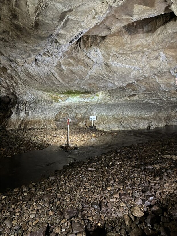 『景清洞』内部、うろこかべの写真。