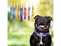 愛犬への特別なギフトに「4dox」の“世界にひとつのカスタムシリーズ”を贈ろう