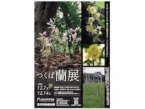 【茨城県つくば市】国立科学博物館 筑波実験植物園で「つくば蘭展」開催。貴重なランなど約500点を公開