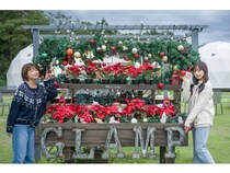 【三重県志摩市】「グランドーム伊勢賢島」が「Christmas Wish 2025」を開催！体験型イベントも